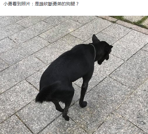 ⭐异常就退款
钉钉个人号
推荐平台